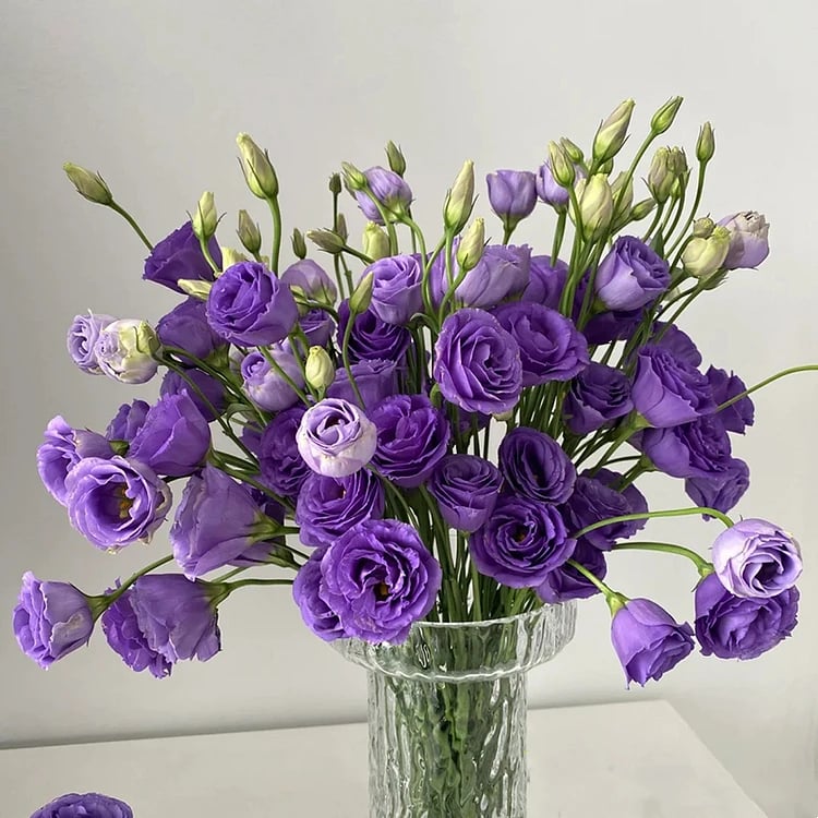 🔥 Posledný deň výpredaja 💝 Beztrnová ružová eustoma 💐 Semienka z lisianthusu
