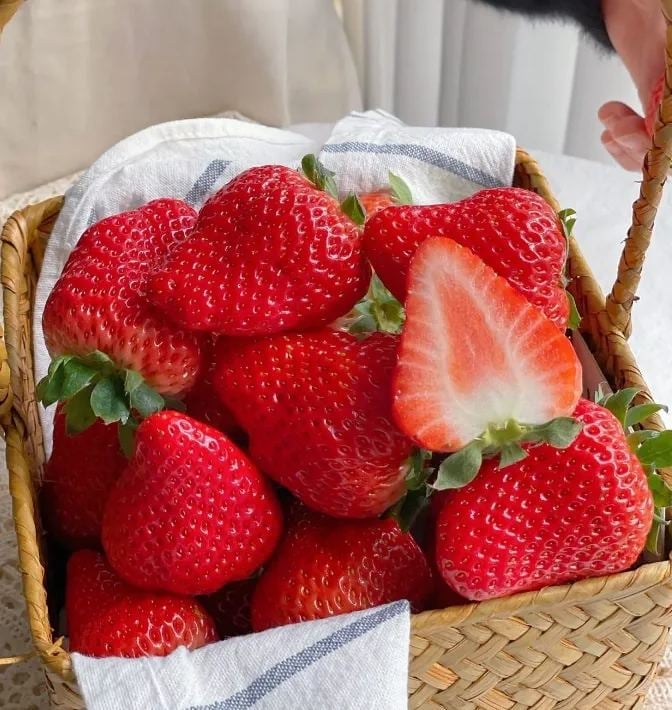 All-year-round strawberry seeds🍓