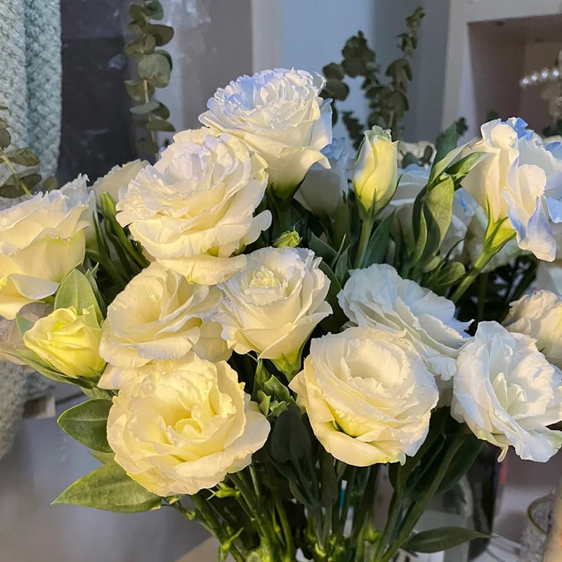 🔥 Posledný deň výpredaja 💝 Beztrnová ružová eustoma 💐 Semienka z lisianthusu