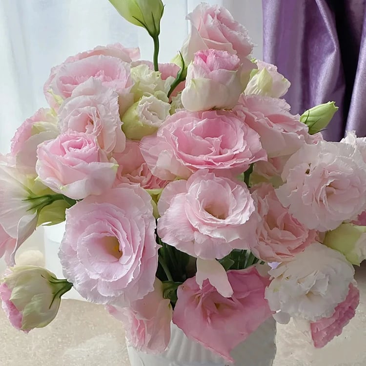 🔥 Posledný deň výpredaja 💝 Beztrnová ružová eustoma 💐 Semienka z lisianthusu