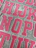 New, "PINK" 3" Embroidered Letter w/ White Felt, Varsity Letter Patch, 1-pc, Iron-on Backing, Choose Your Letter, A-Z Letters, DIY Letters,