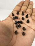 NEW, "Screw on Spikes", 10mm "Black" Spiked Studs, Cone Spikes Screw-back Studs for Clothing, Leather, Spikes with Screws, 100 PCS