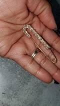 10-pc set, GOLD Rhinestone Safety Pin Brooches for Clothing & Accessories, Bling Safety Pins for Crafting, DIY Tools, Size 3" , Alloy Pins