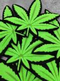 New, Neon Green, CHENILLE "Cannabis Leaf", Size 9", Iron-on Patch, Patches for Weed Lovers, Cannibas Badge, THC, CBD Lover, Weed Leaf, 1 pc