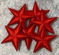 2pc/Mini RED Star Applique Set, Star Patch, 1" inch Small Stars, Cool Applique, Iron-on Embroidered Patch, Patches for Clothes and Shoes