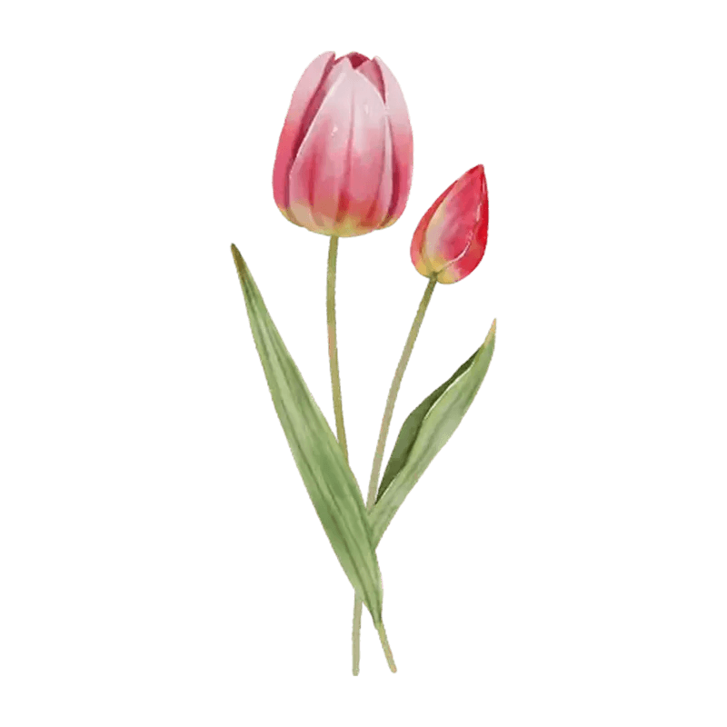 You Are The Most Beautiful Flower - Personalized Custom Pink Gradient Glass Mug