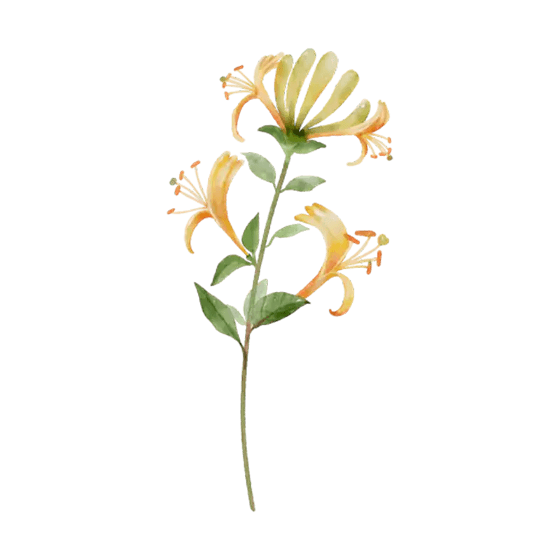 You Are The Most Beautiful Flower - Personalized Custom Pink Gradient Glass Mug