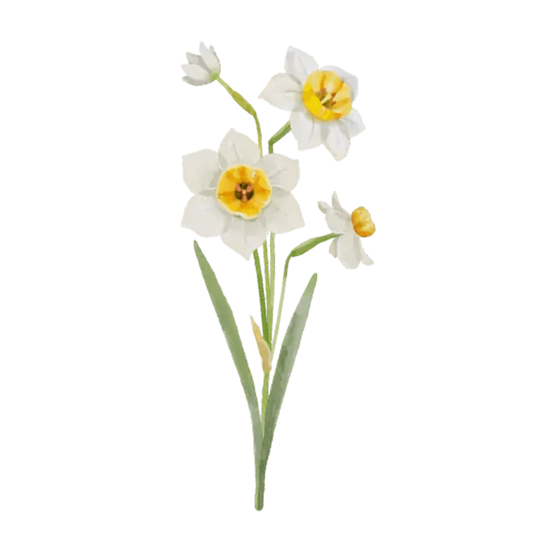 You Are The Most Beautiful Flower - Personalized Custom Pink Gradient Glass Mug