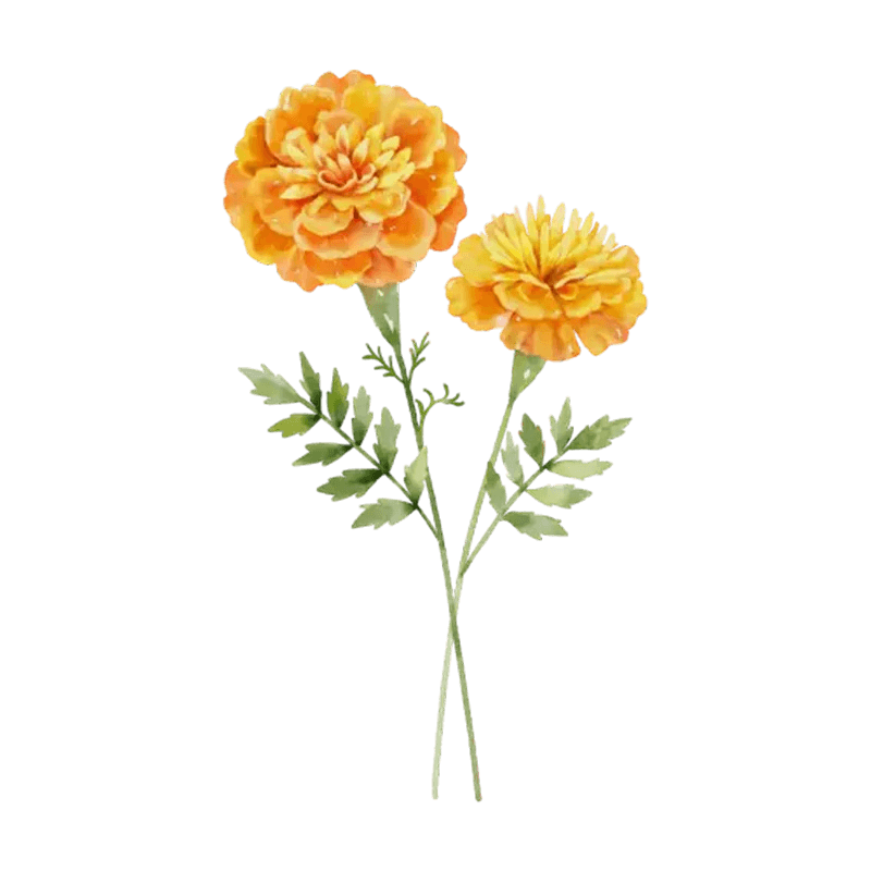 You Are The Most Beautiful Flower - Personalized Custom Pink Gradient Glass Mug