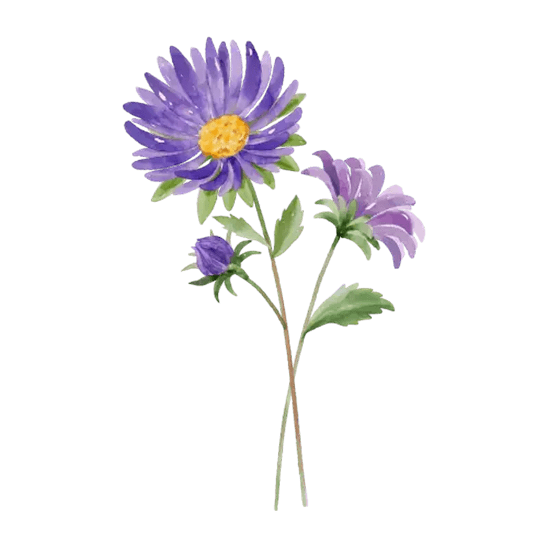 You Are The Most Beautiful Flower - Personalized Custom Pink Gradient Glass Mug