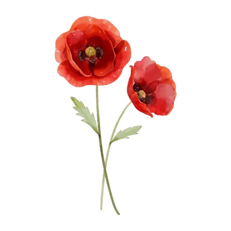 You Are The Most Beautiful Flower - Personalized Custom Pink Gradient Glass Mug