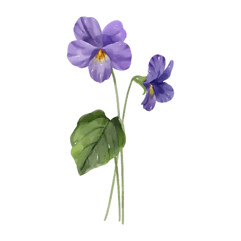 You Are The Most Beautiful Flower - Personalized Custom Pink Gradient Glass Mug