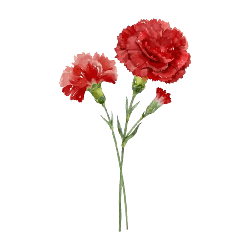 You Are The Most Beautiful Flower - Personalized Custom Pink Gradient Glass Mug