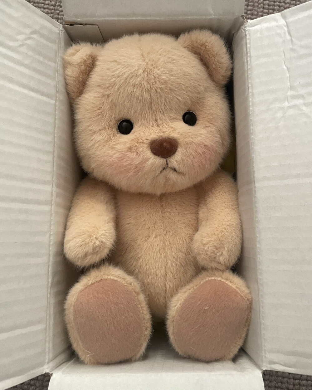 Green Dinosaur Plush Set Brown Teddy Bear