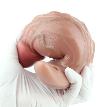 Reid Rechargeable Anal Plug with Strap, Remote Control Vibrating Anal Dildo