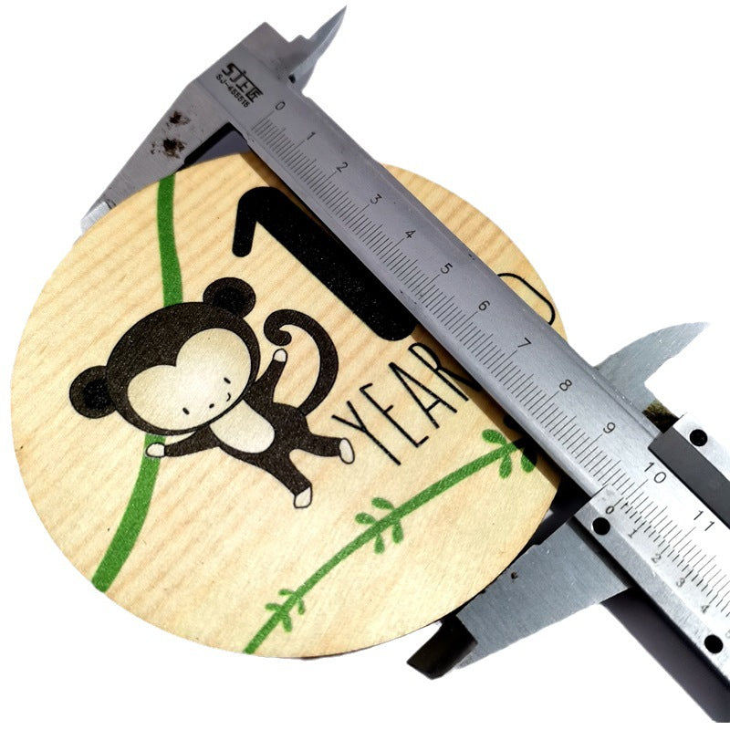 Baby’s First Year Milestone Discs, Complete 12-Month Wooden Photo Props Set, Monthly Growth Tracker for Newborn Photography, Keepsake Memory Collection for Parents