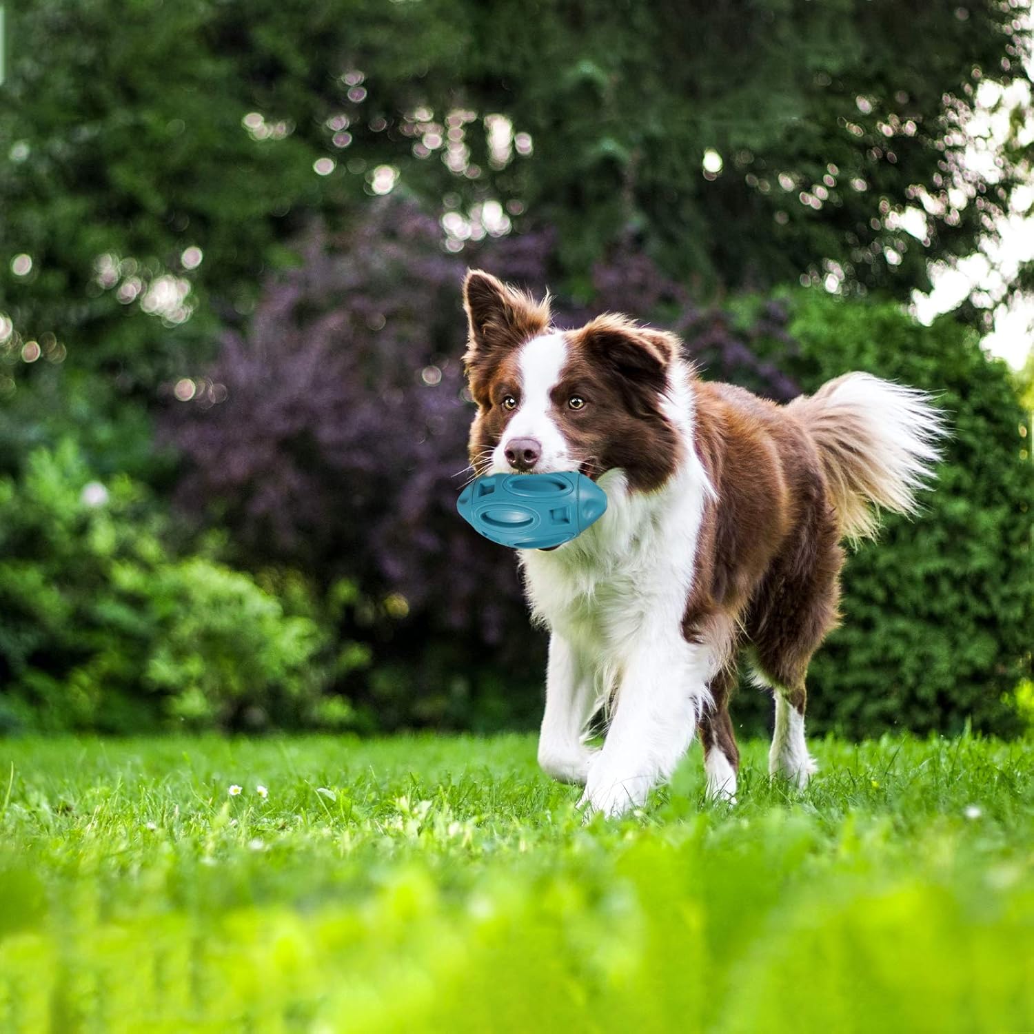 Pet Sound Toys Pet Squeaky Chew Toys Puppy Gum Toy Aggressive Chewers Toy Pet Dental Oral Care Pet Oral Care Supplies Dog Pet Toy Rubber Indestructible