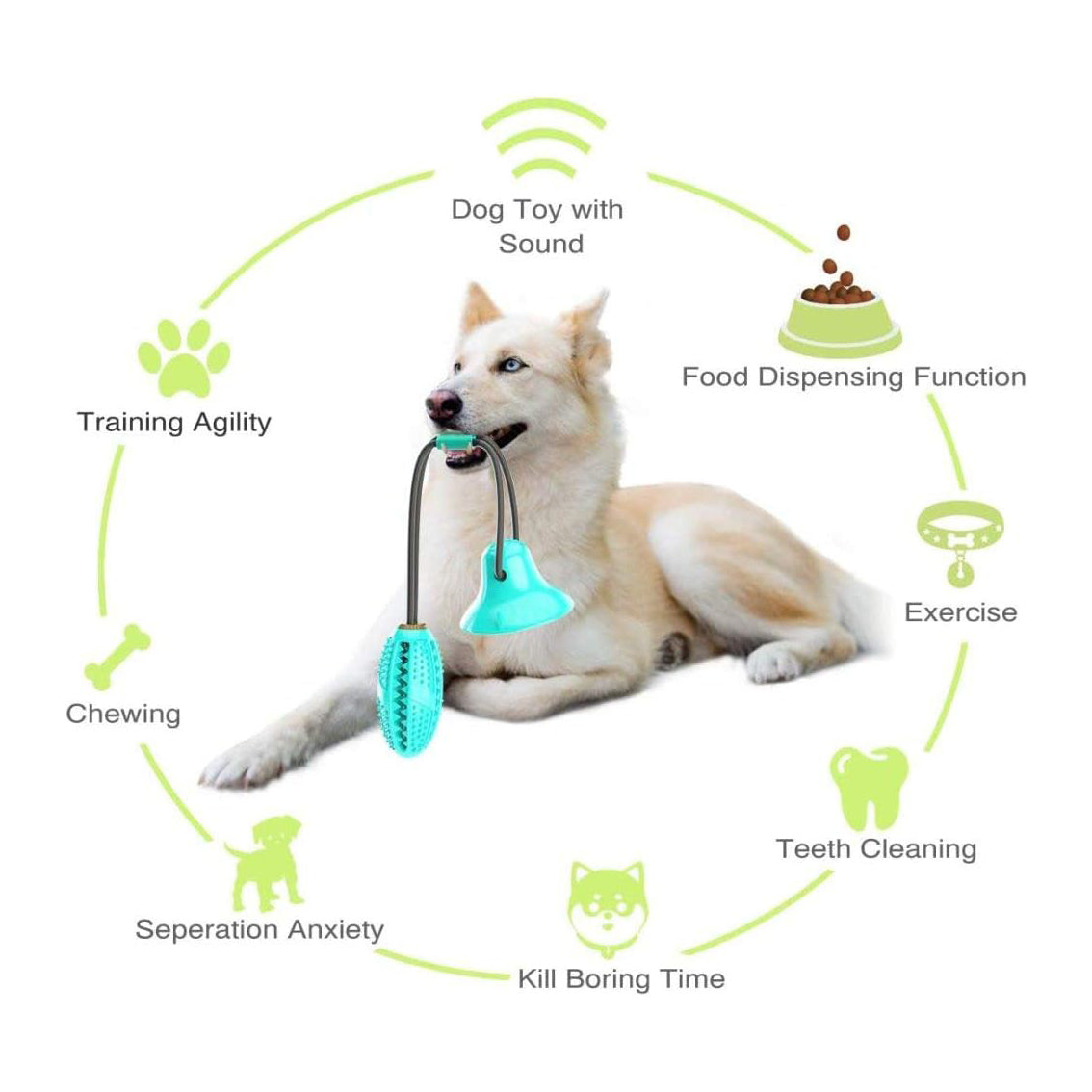 Multifunction Pet Molar Bite Toy, Juguete Mordedor Mascota, Juguete Multifuncional para Mordedura De Molar, Mordedura De Perro del Entrenamiento con Ventosa,Blue