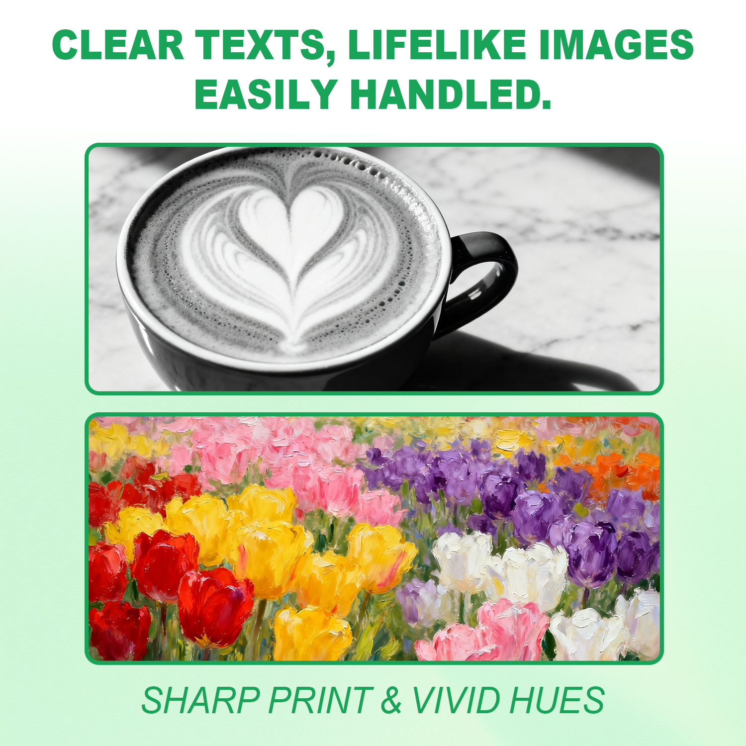 Professional Grade Ink Refill Kit | Complete 5-Bottle Set with Precision Syringes for Refillable Cartridge Systems | Dye Ink for Text & Graphics Printing