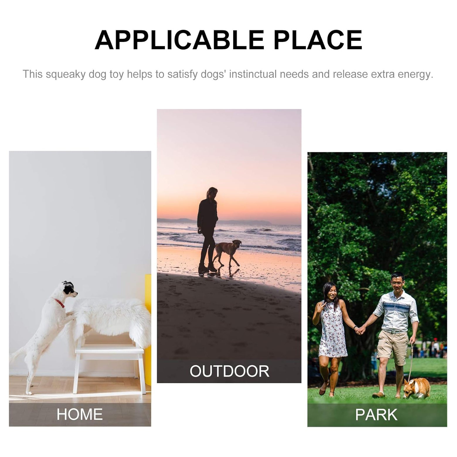 Pet Sound Toys Pet Squeaky Chew Toys Puppy Gum Toy Aggressive Chewers Toy Pet Dental Oral Care Pet Oral Care Supplies Dog Pet Toy Rubber Indestructible