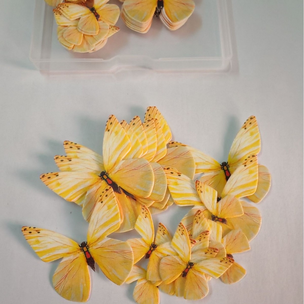 Rainforest Butterfly Collection | 72 Edible Wafer Butterflies in Tropical Color Spectrum, Gradient Wing Designs Mimicking Morpho & Swallowtail Species, Vibrant Garden Party Cake Decor