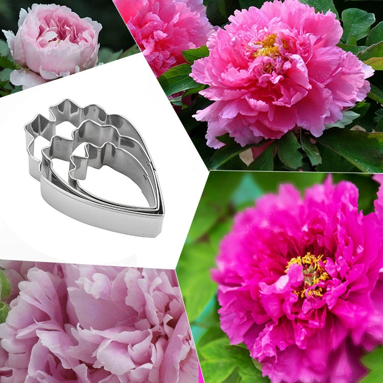 Professional Peony Cutter & Veiner Set | Stainless Steel Cookie Cutter with Silicone Veining Mold | Fondant Gumpaste Flower Making Tool