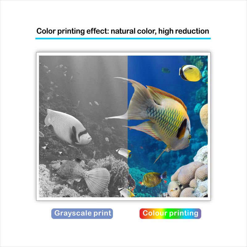 5-Pack Compatible Ink Cartridges for Canon PGI-280XXL CLI-281XXL | 2 Black, 1 Cyan, 1 Magenta, 1 Yellow | Works with Canon TR8520 TR8620 TR7520 TR8600 TS6120 TS6220 TS9120 Printers