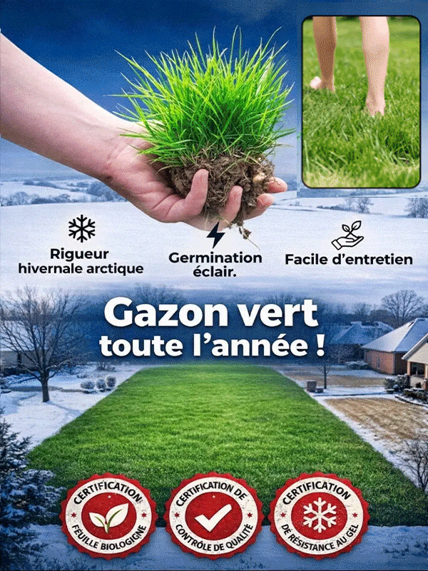 [Taux de germination 99%]Graines de Gazon Irlandais Amélioré | Zéro Tonte | Vert Toute l'Année | Pousse en 7 Jours 🌿Variété naine naturelle qui s'arrête à 3 centimètres