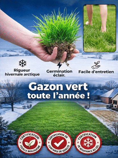  [Taux de germination 99%]Graines de Gazon Irlandais Amélioré | Zéro Tonte | Vert Toute l'Année | Pousse en 7 Jours 🌿Variété naine naturelle qui s'arrête à 3 centimètres