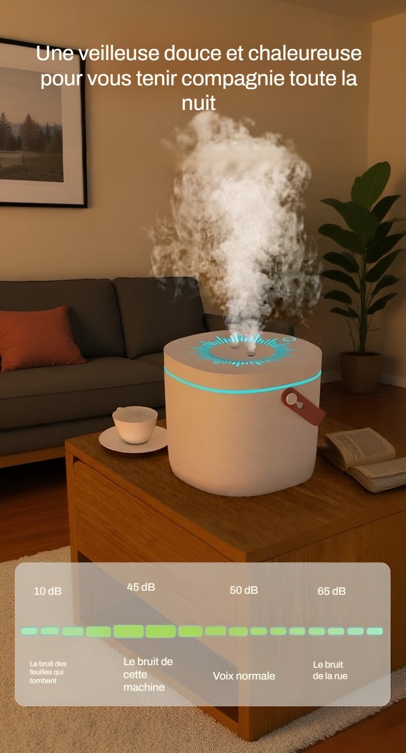 Accessoire essentiel pour un environnement sain et confortable