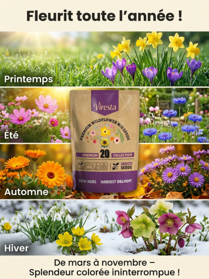 Mélange de fleurs biologiques Viresta | 18 000 graines | 300 jours de floraison | Idéal pour les abeilles