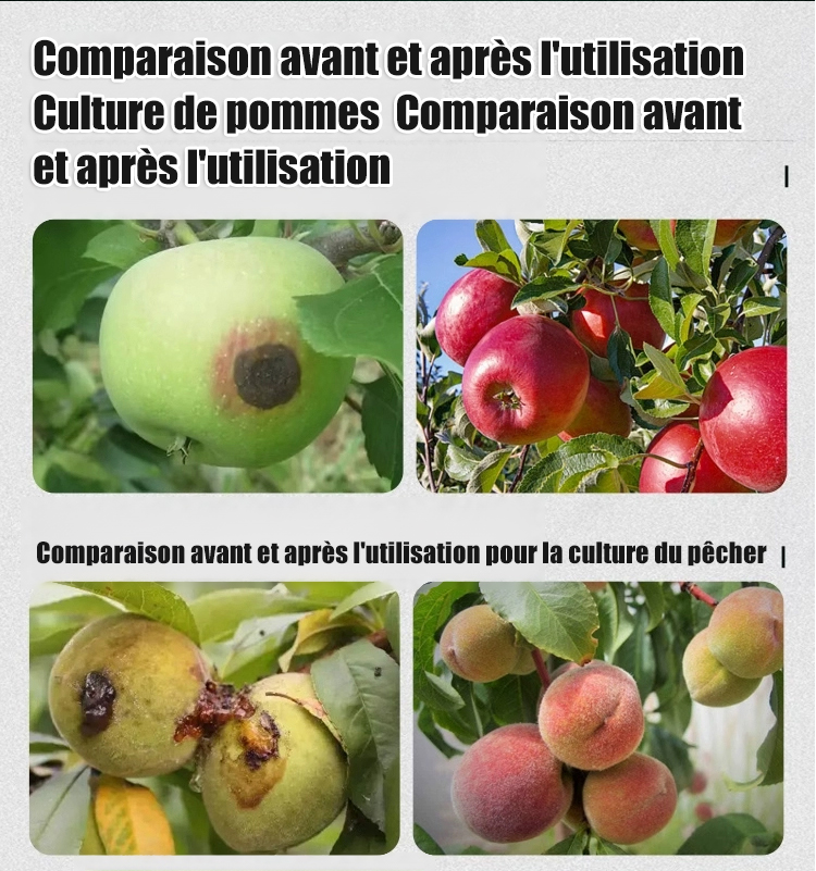 Concentré de protection végétale biologique professionnel | 1000 g pour 1000 L de protection | 100 % respectueux des abeilles