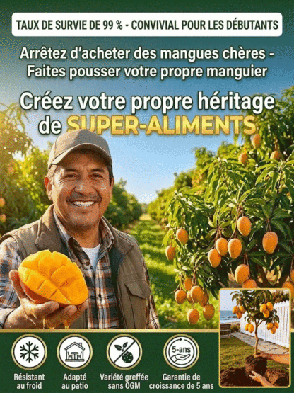 Manguier Nain Greffé 🥭 | Récolte Rapide en Pot | 100% Bio et Sans OGM 🌿