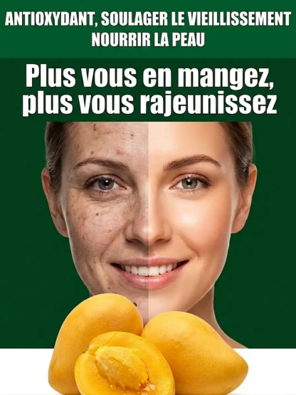 Manguier Nain Greffé 🥭 | Récolte Rapide en Pot | 100% Bio et Sans OGM 🌿