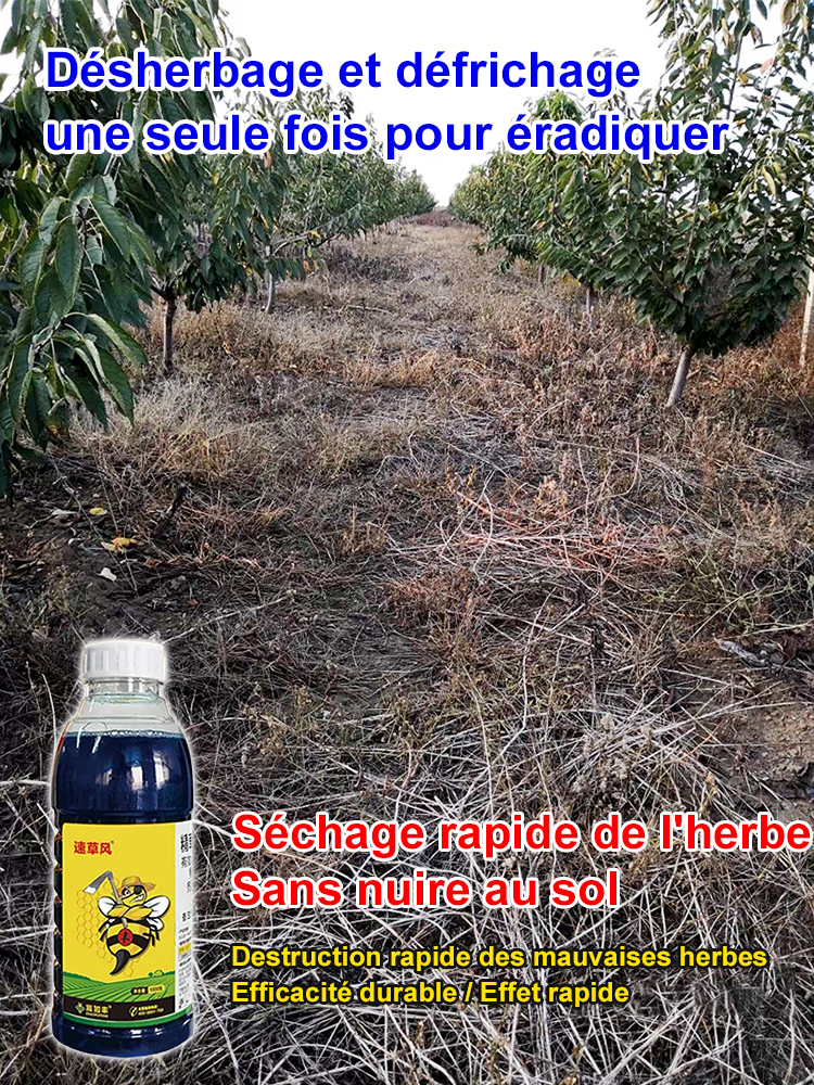 Herbicide biologique biodégradable et écologique pour un désherbage complet