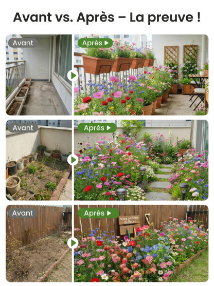 Mélange de fleurs biologiques Viresta | 18 000 graines | 300 jours de floraison | Idéal pour les abeilles