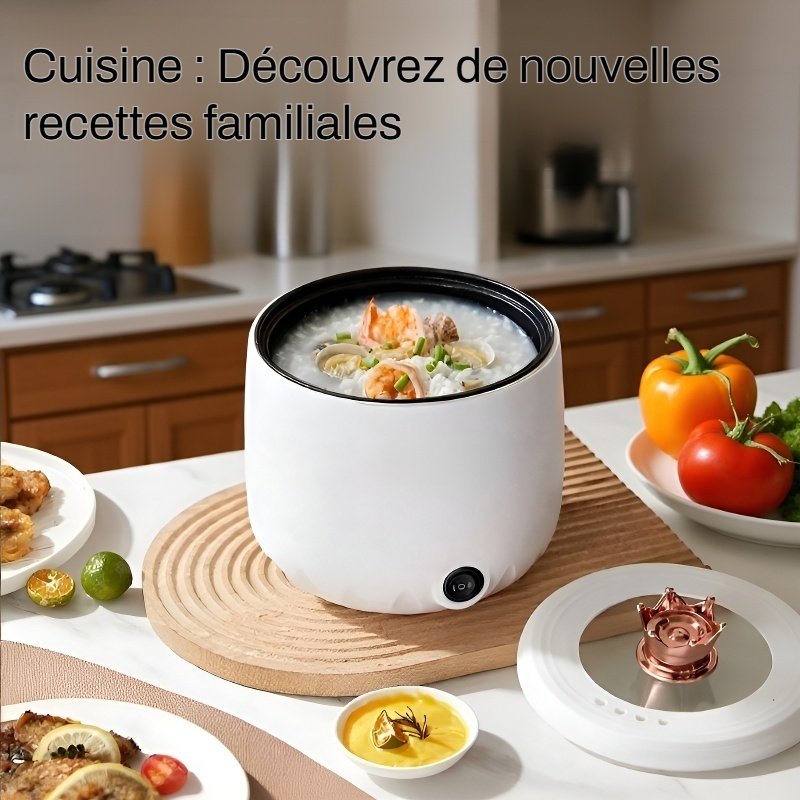 Marmite électrique domestique multifonction anti-adhésive