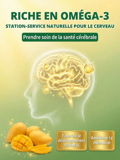 Manguier Nain Greffé 🥭 | Récolte Rapide en Pot | 100% Bio et Sans OGM 🌿