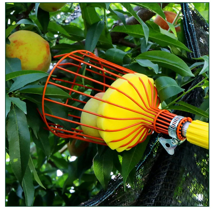 Leichtes und ergonomisches Obstpflückgerät