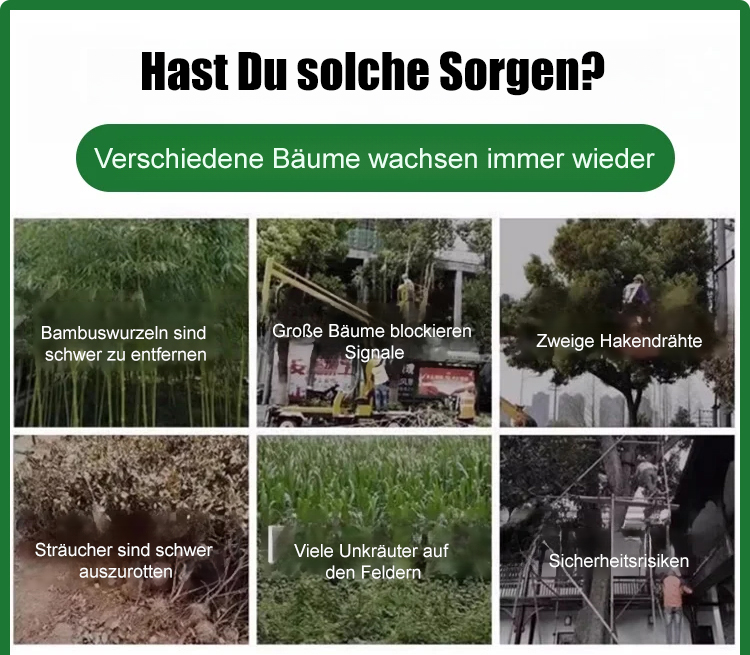 Tricyclizinone Land Restoration Formula - Soil Improvement & Wasteland Remediation Treatment Solution