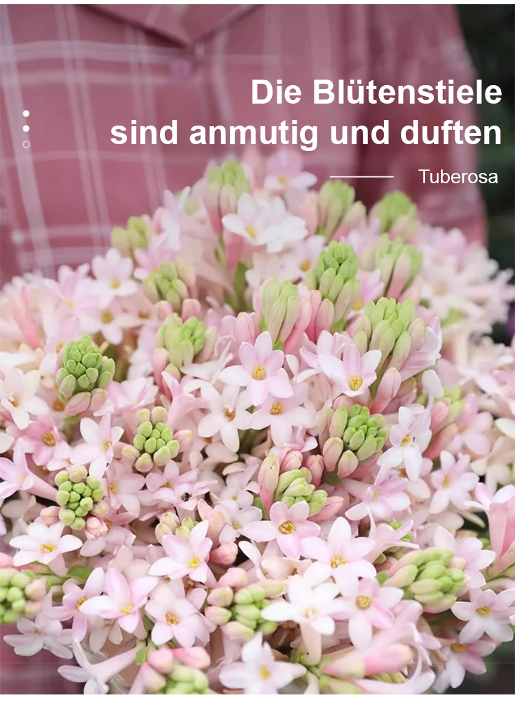 300 Tage blühende, duftende Blume – Natürlicher Luftreiniger & langanhaltender Blumenduft