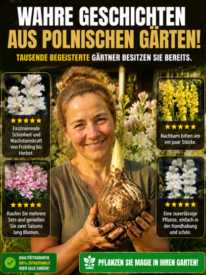 【Natürliche Duftstoffe】Tuberose-Zwiebelblume✨️Natürlicher Luftreiniger