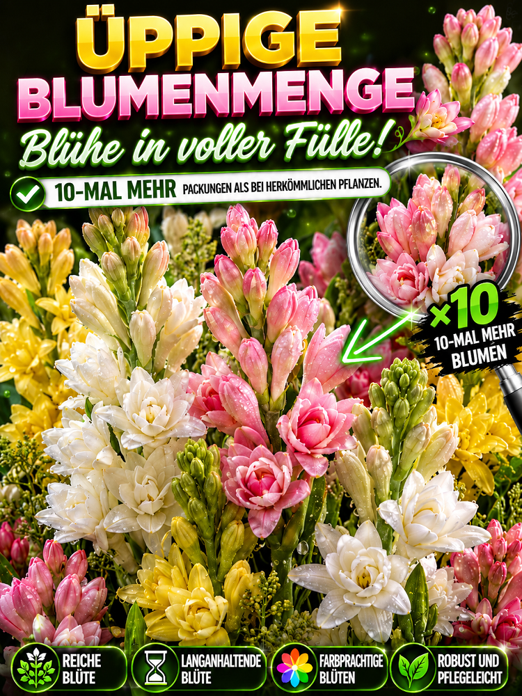 【Natürliche Duftstoffe】Tuberose-Zwiebelblume✨️Natürlicher Luftreiniger