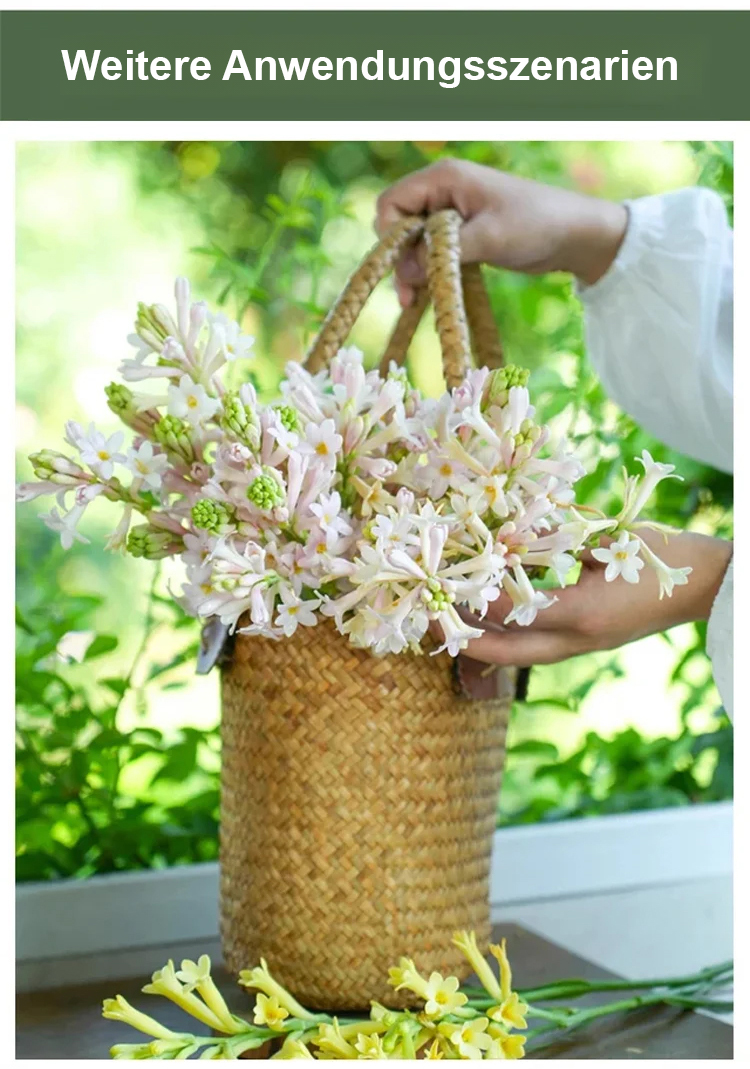 300 Tage blühende, duftende Blume – Natürlicher Luftreiniger & langanhaltender Blumenduft
