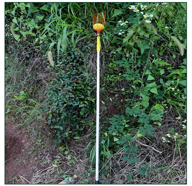 Obstpflücker für große Höhen mit abnehmbarem Auffangnetz