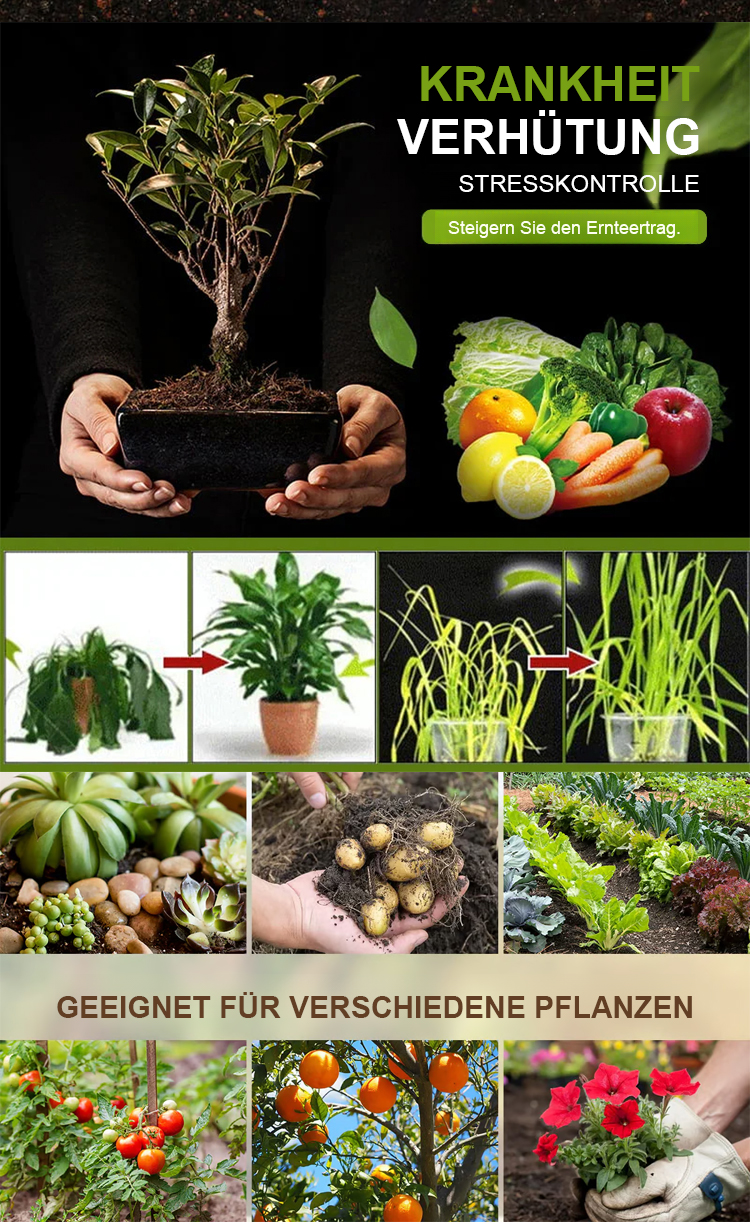 Soil Activator - Fertility Enhancer for Healthier Plant Growth and Root Development