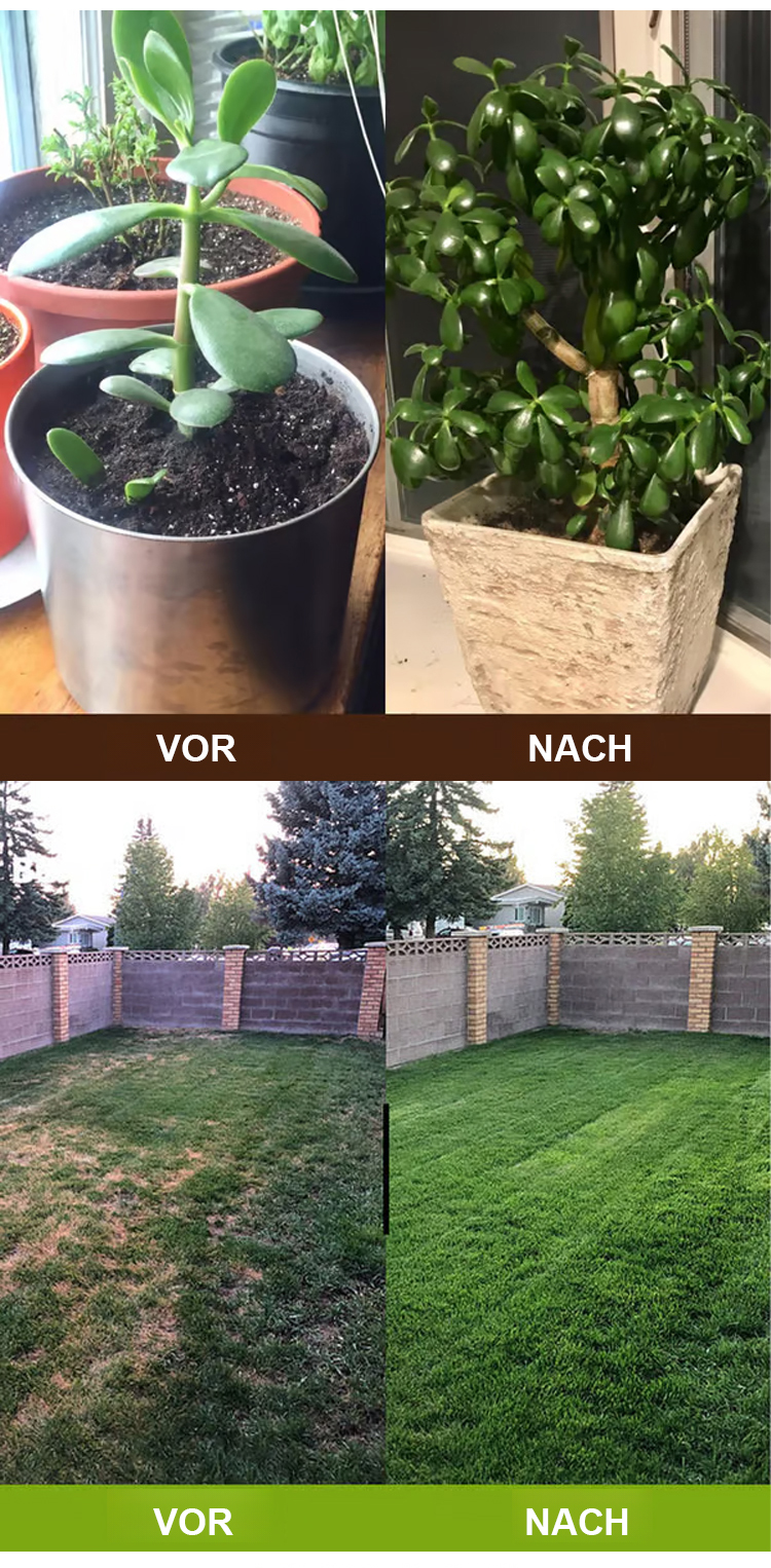 Beginner Friendly