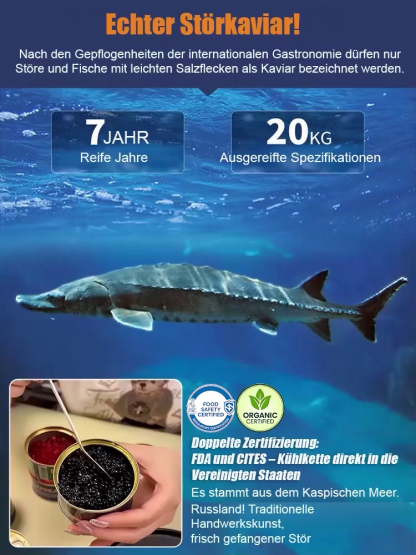 【DGE-empfohlen】Russischer Bio-Störkaviar🌊 | Aus 9-jährigen Bio-Stören🐟 | Ohne Zusatzstoffe nur Kaviar und natürliches Meersalz | 5-facher Gehalt an Omega3/DHA/EPA als Lachs👑 | Reines Naturprodukt Direkt Ab Werk Ohne Preisaufschlag✨