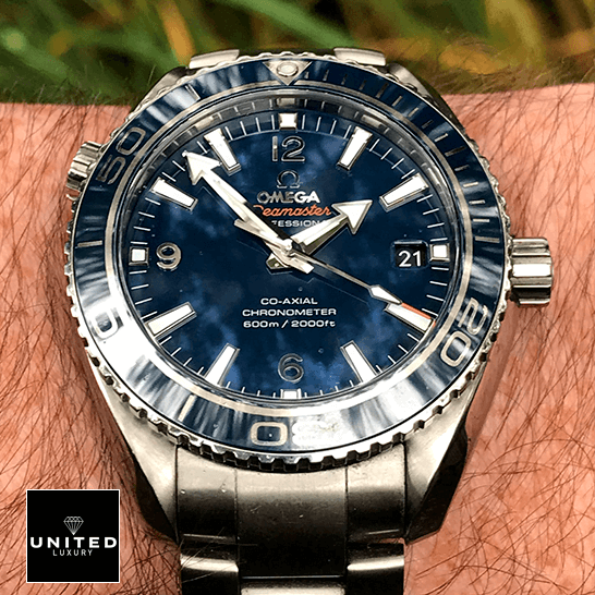omethtga Seamaster Professıonal Co Axial Replica on the man wrist grass background