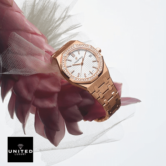 Audthtemars Pigthtuet Royal Oak Replica white background